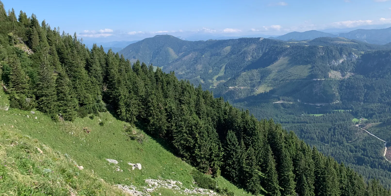 Blick über die bewaldeten Hänge des Ötscherlands
